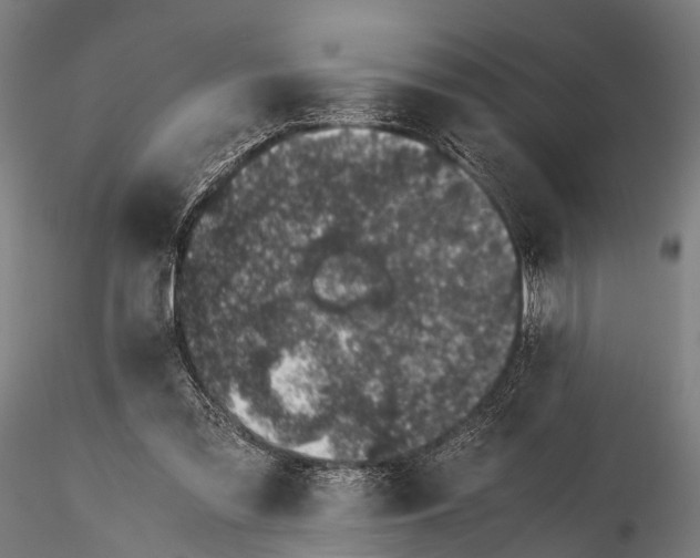 X0000116100301200912071306