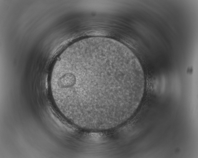 X0000116100302200912071306