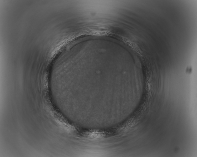 X0000116100303200912071306