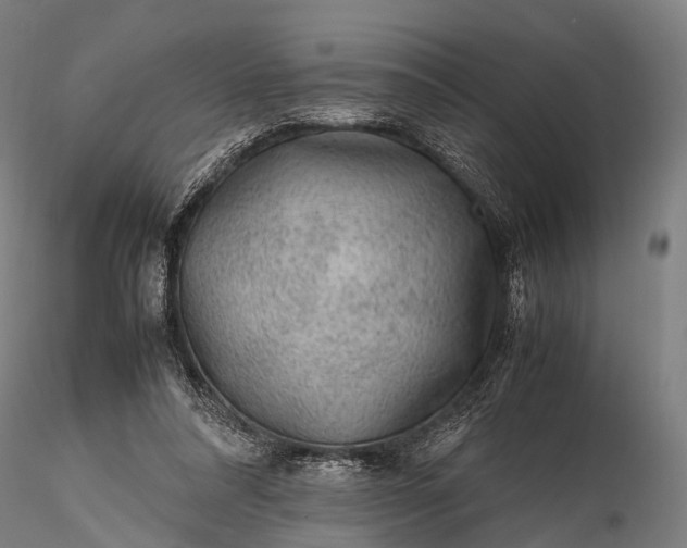 X0000116100304200912071306