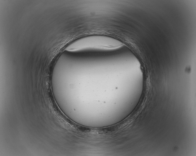 X0000116100305200912071306