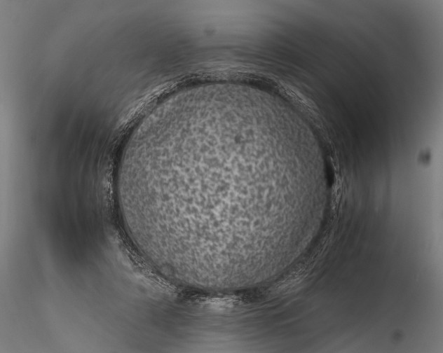 X0000116100306200912071306