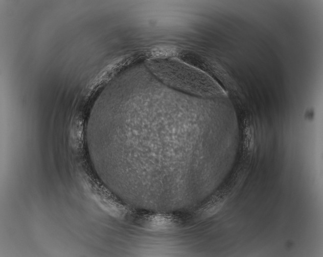 X0000116100308200912071306