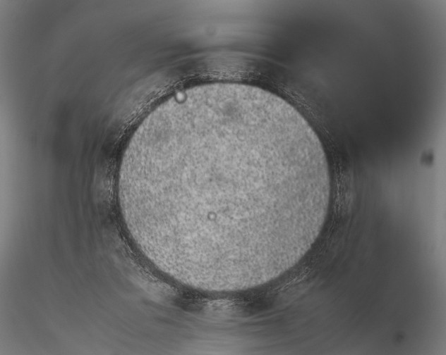 X0000116100309200912071306