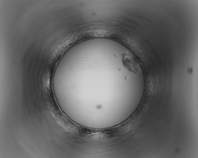 X0000116100310200912071306