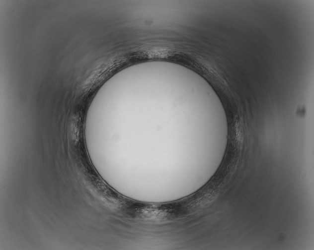 X0000116100311200912071306