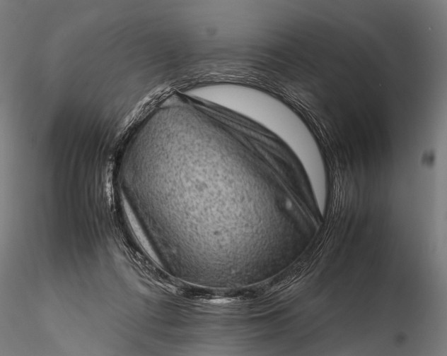 X0000116100312200912071306