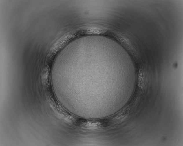 X0000116100314200912071306