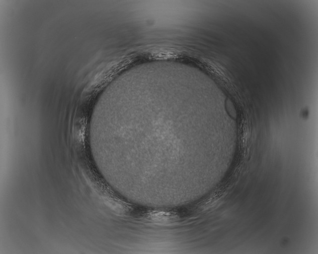 X0000116100315200912071306