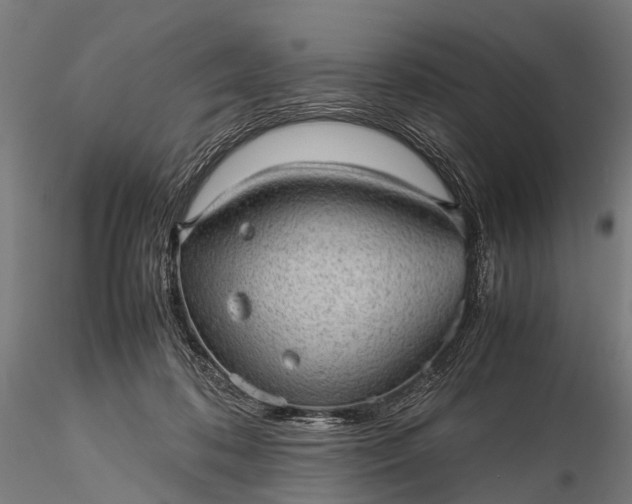 X0000116100316200912071306