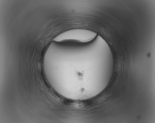 X0000116100317200912071306