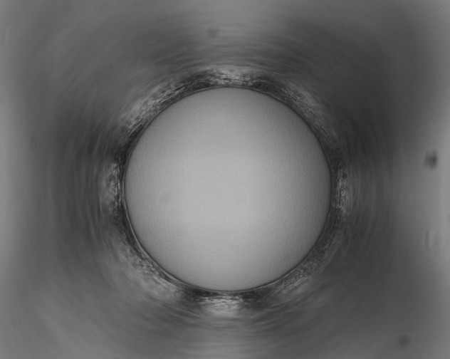 X0000116100318200912071306