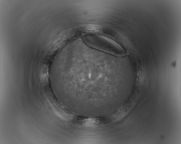 X0000116100320200912071306