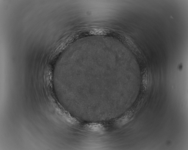 X0000116100322200912071306