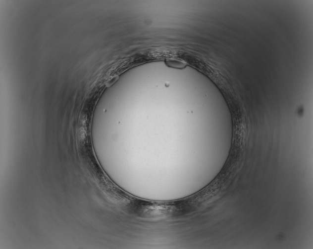 X0000116100323200912071306