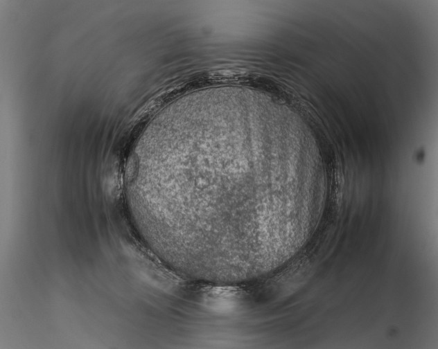 X0000116100324200912071306