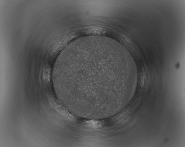 X0000116100326200912071306