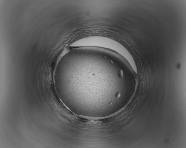 X0000116100328200912071306