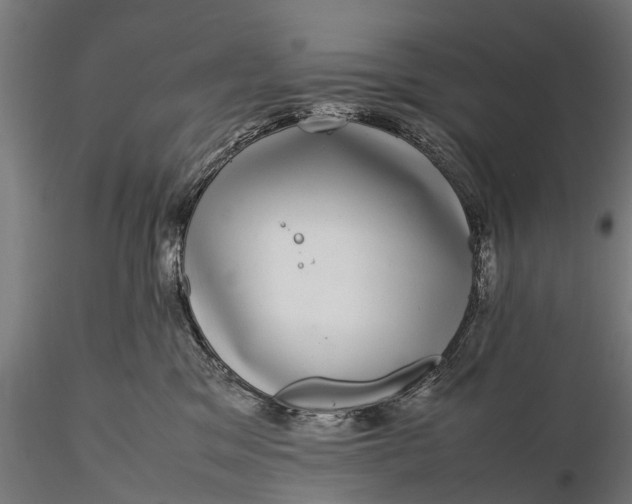 X0000116100329200912071306