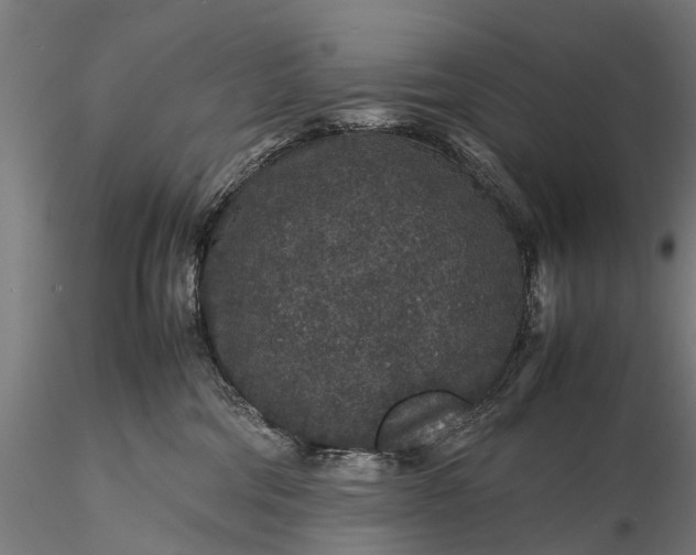 X0000116100330200912071306