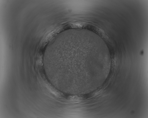 X0000116100331200912071306