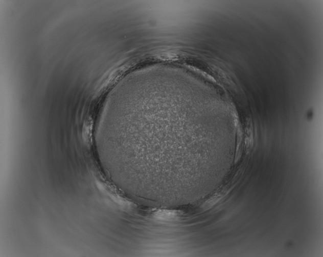 X0000116100332200912071306