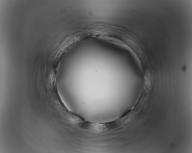 X0000116100333200912071306