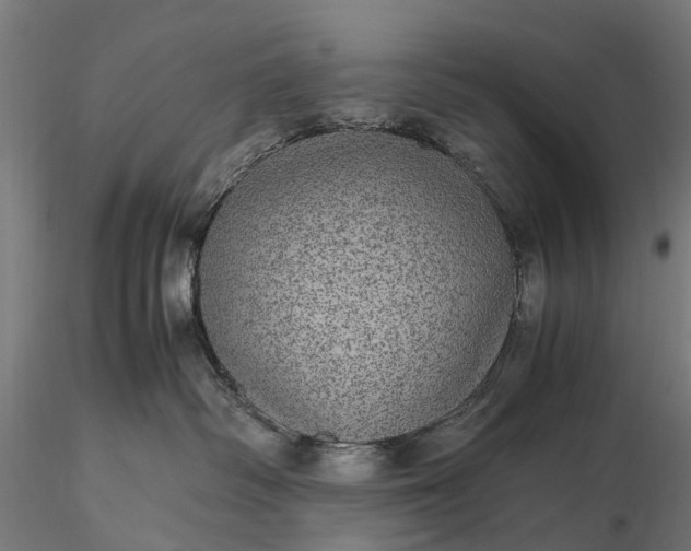 X0000116100334200912071306