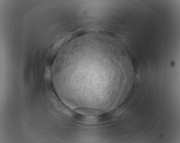 X0000116100335200912071306