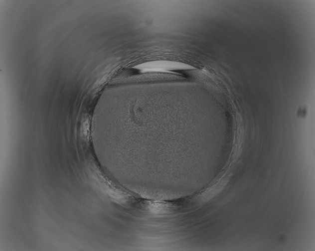 X0000116100336200912071306