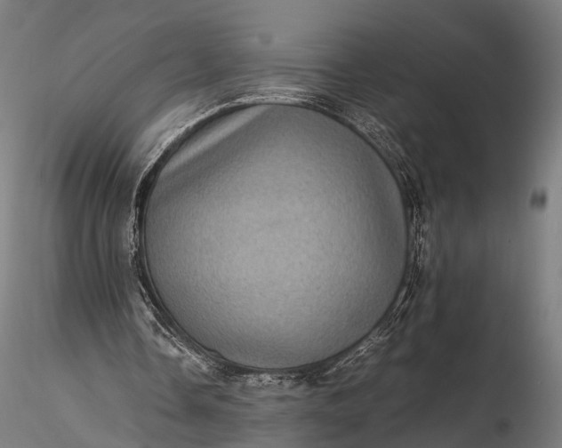 X0000116100338200912071305