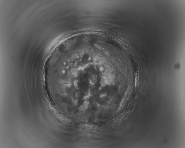 X0000116100339200912071305