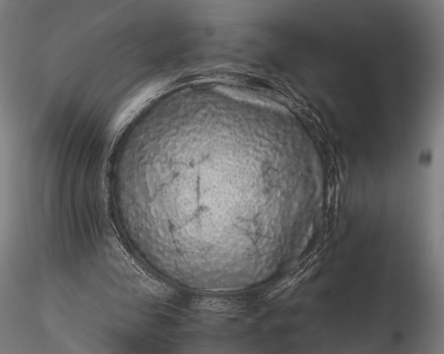 X0000116100341200912071305