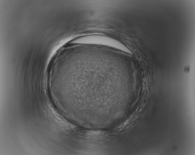 X0000116100342200912071305