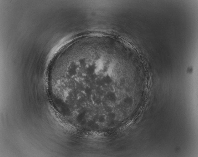 X0000116100343200912071305