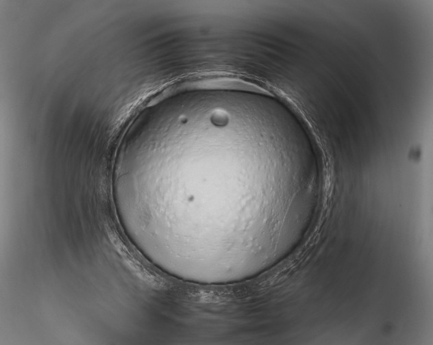 X0000116100345200912071305