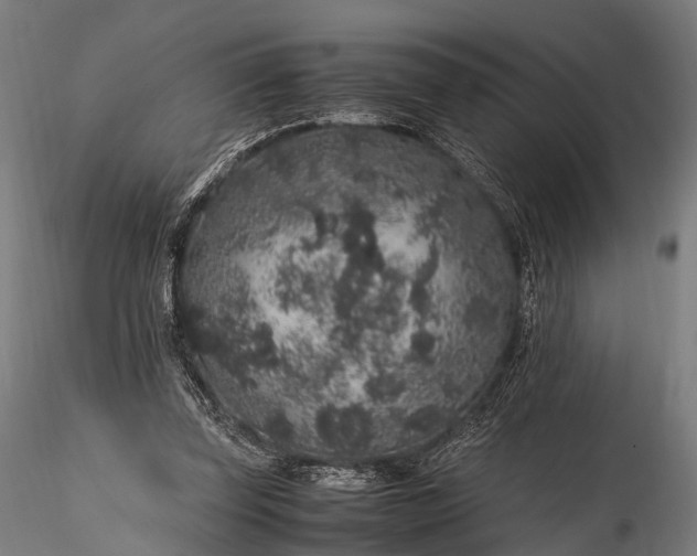 X0000116100347200912071305