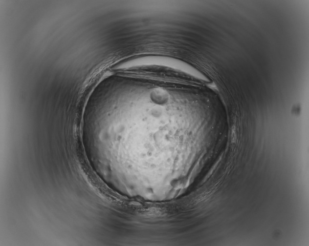 X0000116100349200912071305