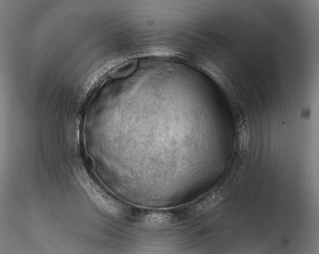 X0000116100350200912071305