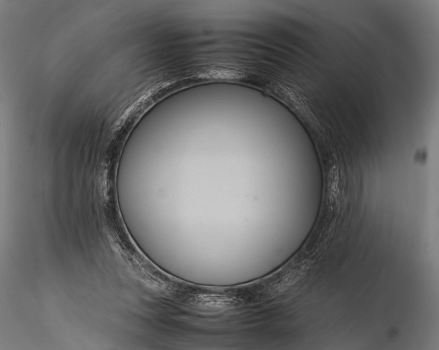 X0000116100351200912071305