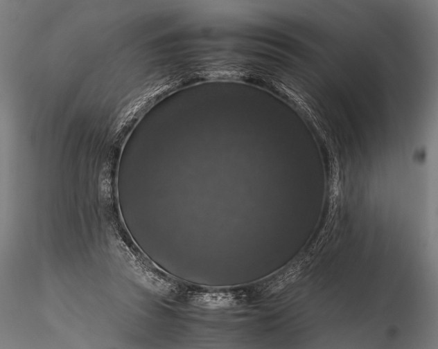 X0000116100353200912071305