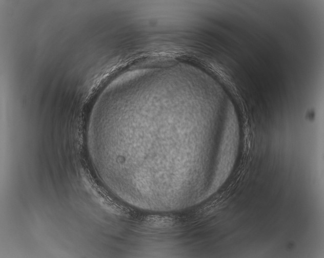 X0000116100354200912071305