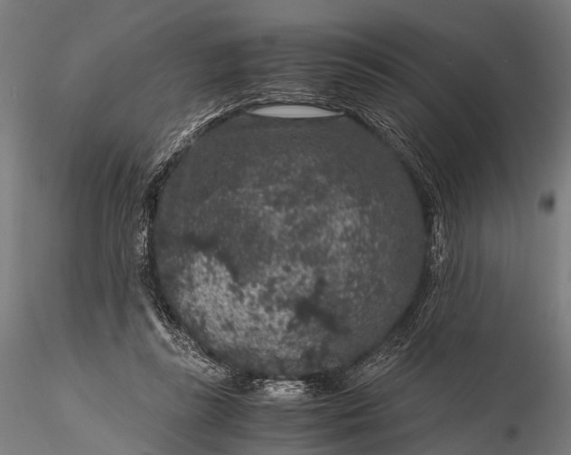 X0000116100355200912071305