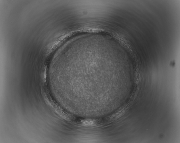 X0000116100358200912071305