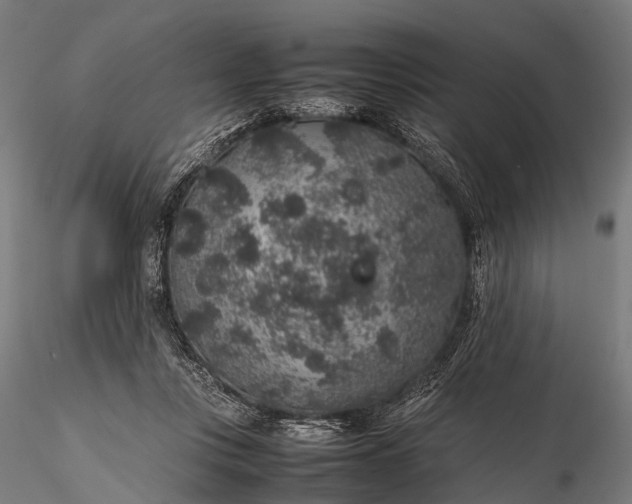 X0000116100359200912071305