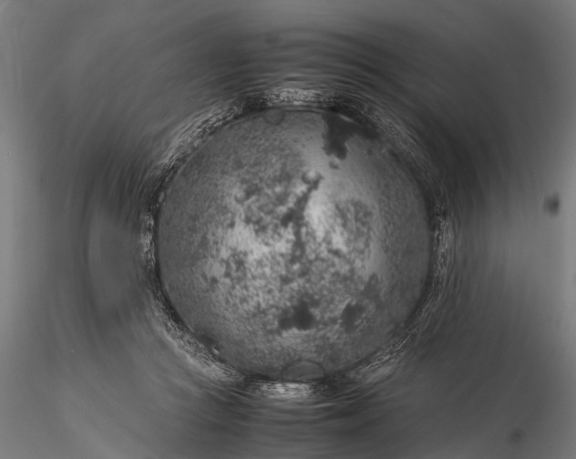 X0000116100361200912071305