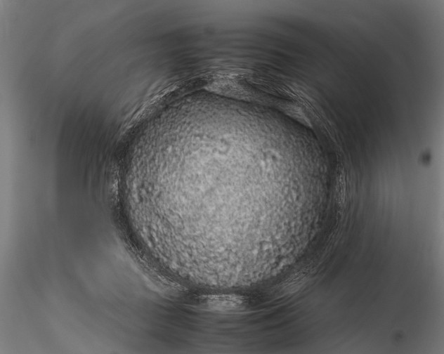 X0000116100363200912071305