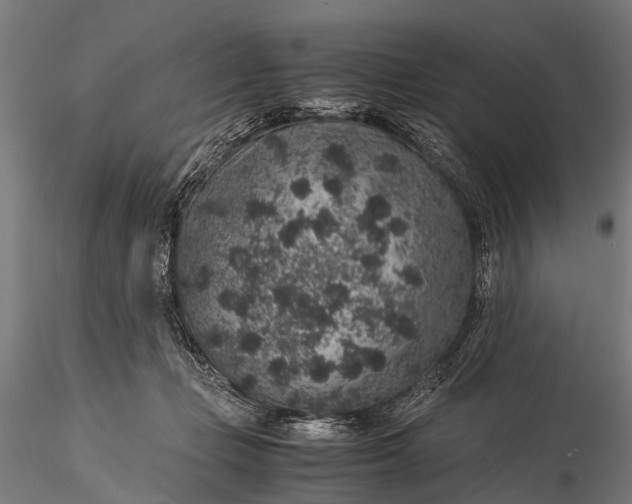 X0000116100365200912071305