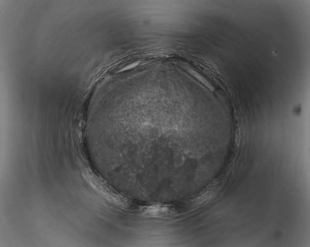 X0000116100366200912071305