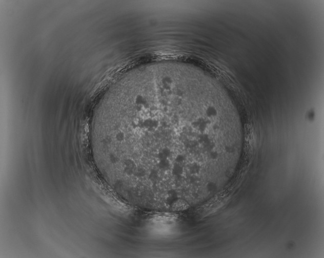 X0000116100369200912071305